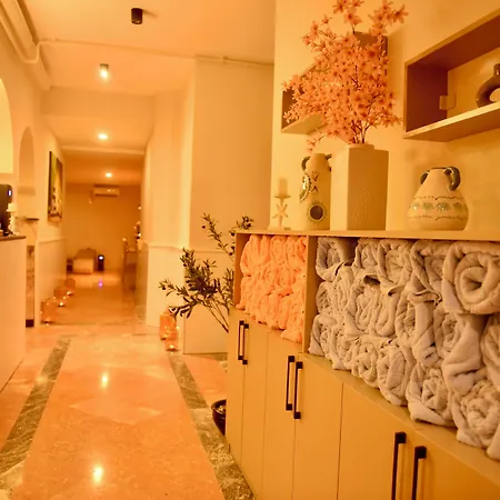 Rose Garden Premium 호텔 4*